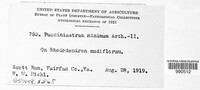 Image Associated With the Occurence